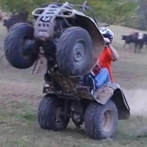 Meet your Posher, Beau